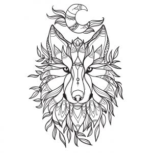 Lobo luna llena