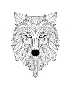 Lobo luna llena 3